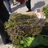 TrÅ¾nica Dubrovnik, GruÅ¾, 2014.