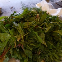 TrÅ¾nica Dubrovnik, GruÅ¾, 2014.