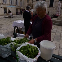 TrÅ¾nica Dubrovnik, stari grad, 2014.