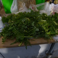 TrÅ¾nica, Split, 2014.