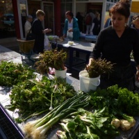 TrÅ¾nica, Split, 2014.