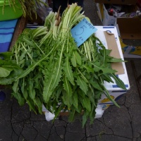 TrÅ¾nica Dolac, Zagreb, 2014.