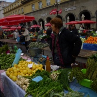TrÅ¾nica Dolac, Zagreb, 2014.