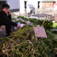 TrÅ¾nica Dolac, Zagreb, 2014.